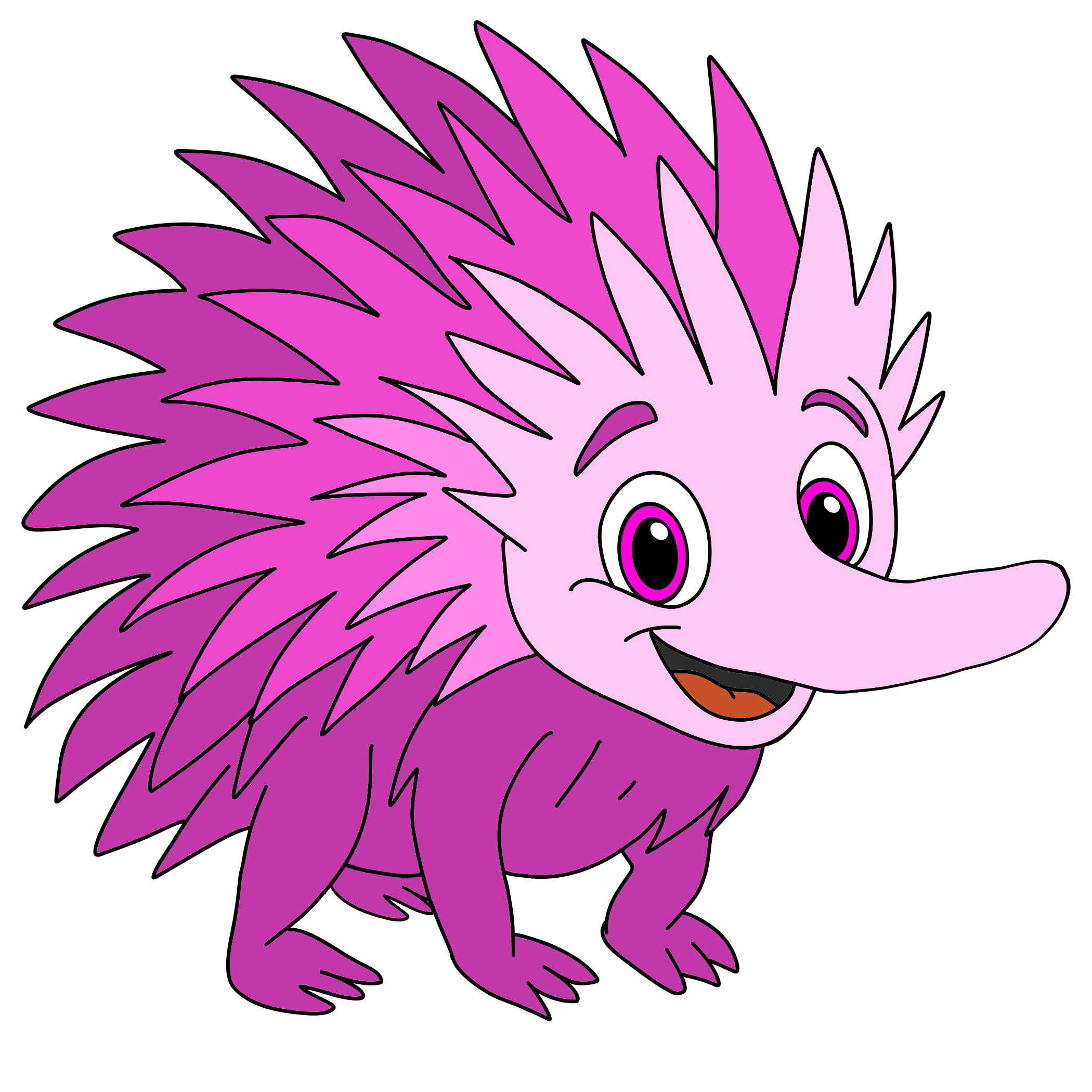 Echidna