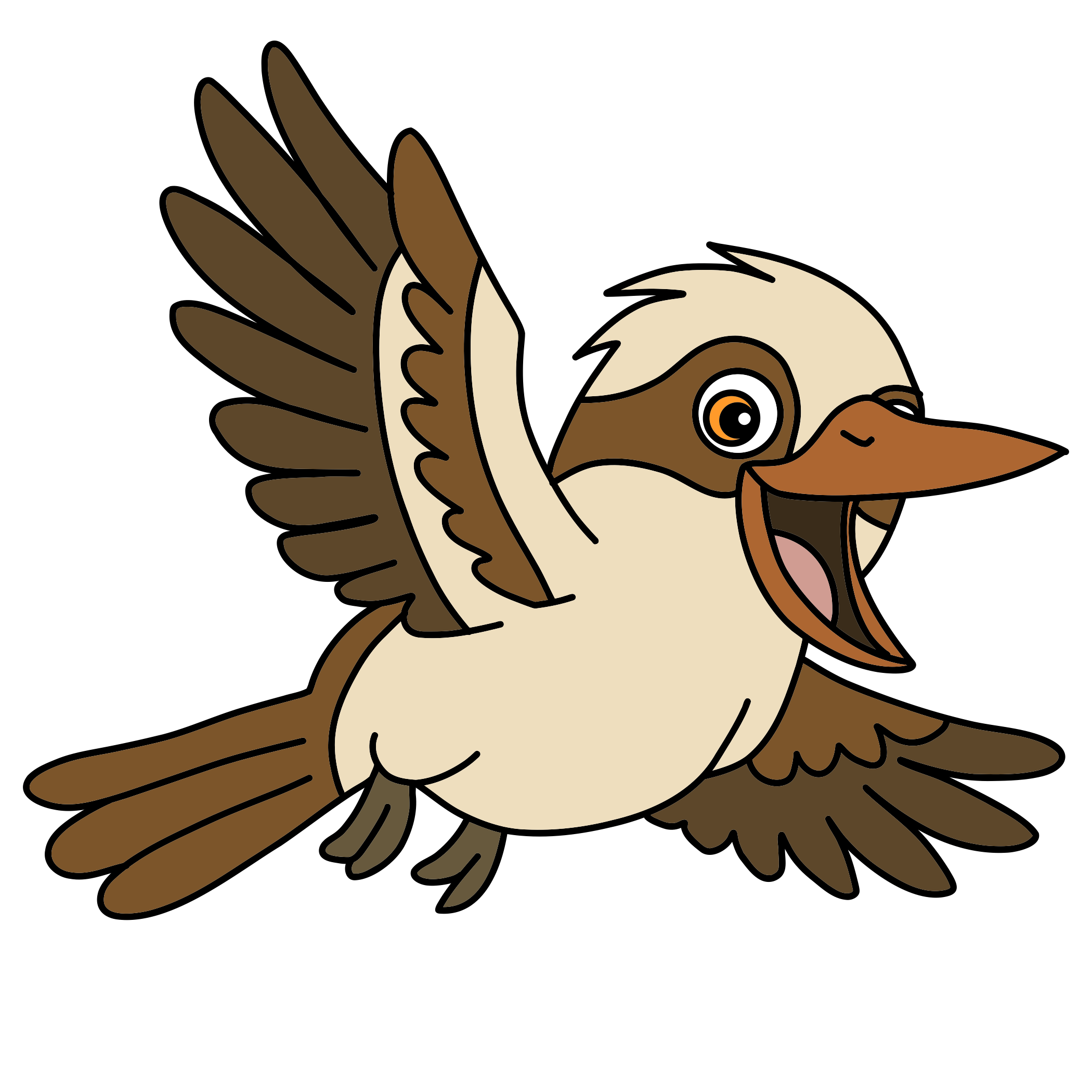Kookaburra