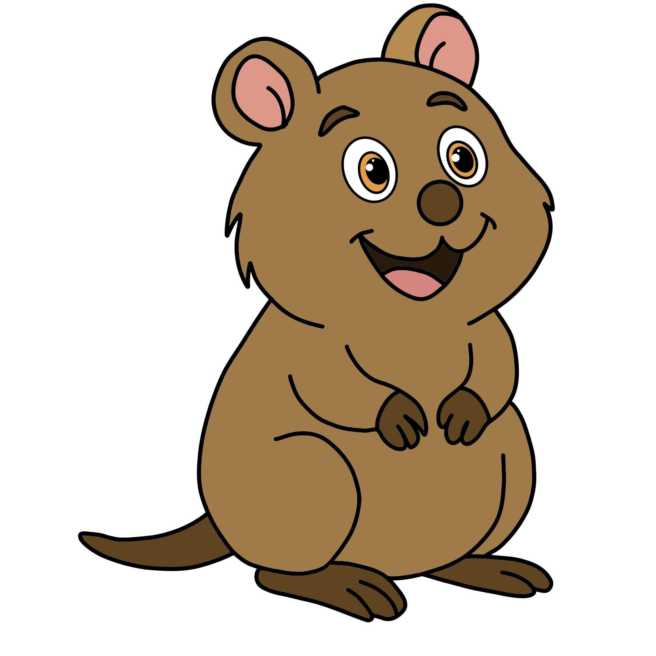 Quokka
